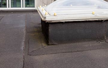 disadvantages of Walkerville flat roofs