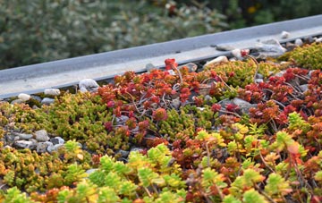 the cost of Walkerville green roof installation