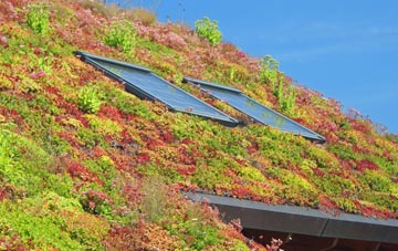 Walkerville living roof systems