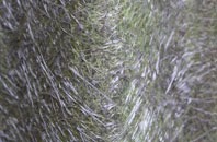 Walkerville fibreglass roof work